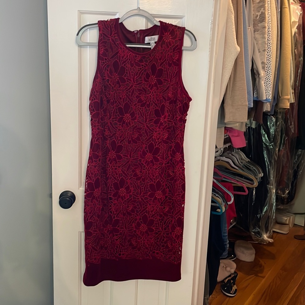 Deep Red velvet Badgley Mischa Dress